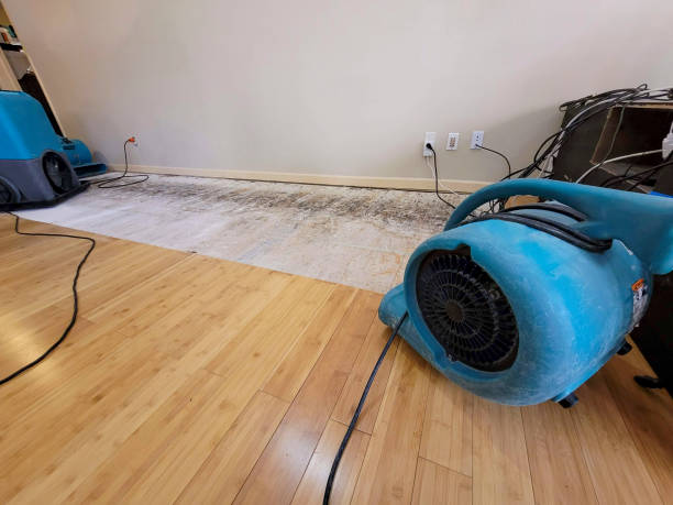 Professional Water Damage Repair technician working in Northville, NY